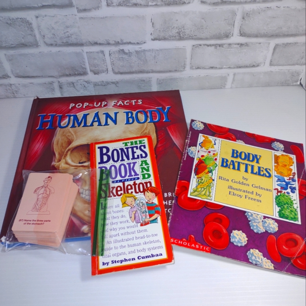 Human body educational bundle.